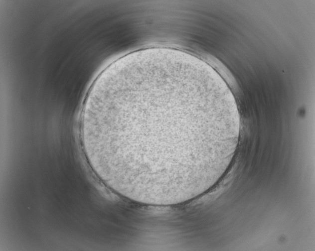 X0000116551052201001211158