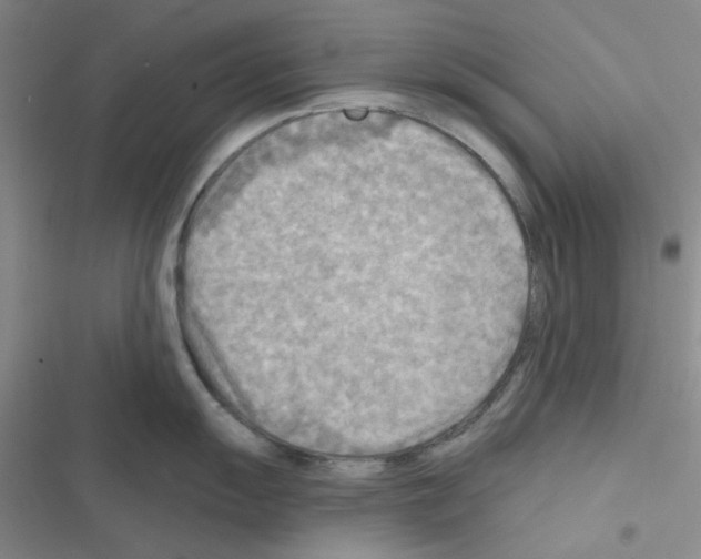 X0000116551055201001211158