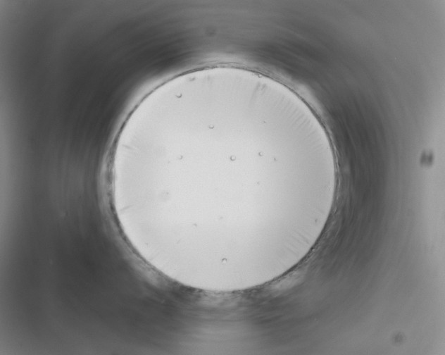 X0000116551056201001211158