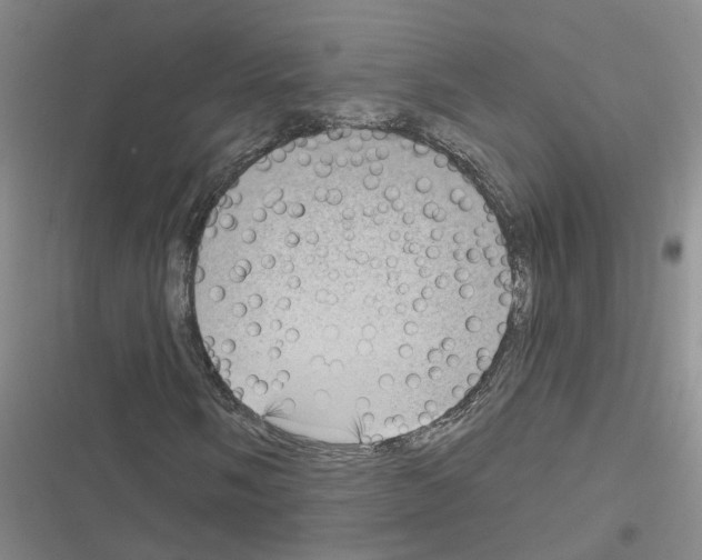 X0000116551058201001211157