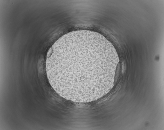 X0000116551059201001211157