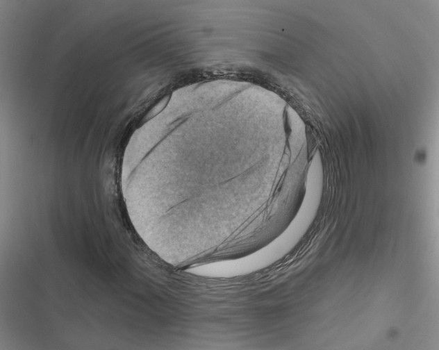 X0000116551060201001211157