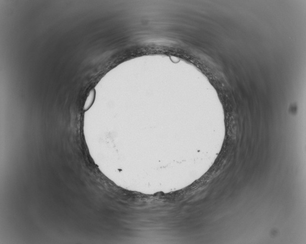 X0000116551061201001211157