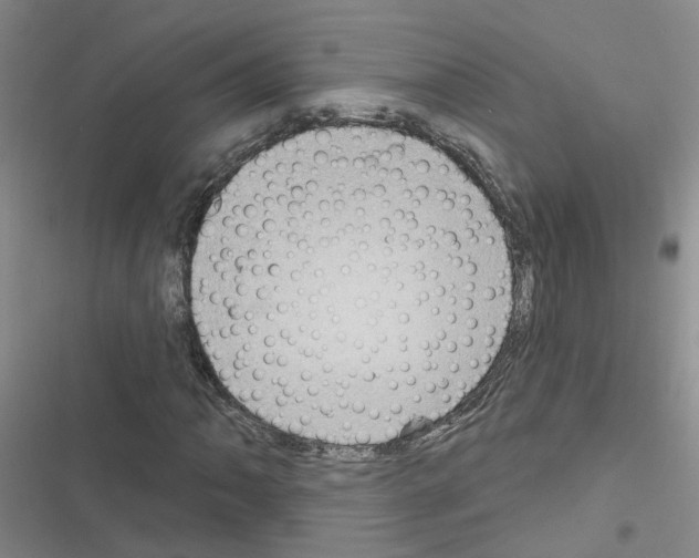 X0000116551062201001211157