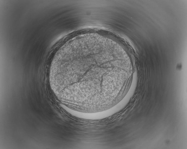 X0000116551064201001211157