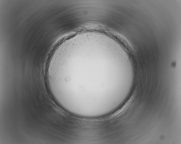 X0000116551065201001211157