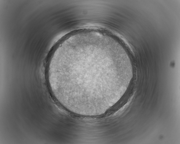 X0000116551066201001211157