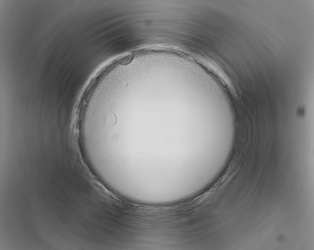 X0000116551068201001211157