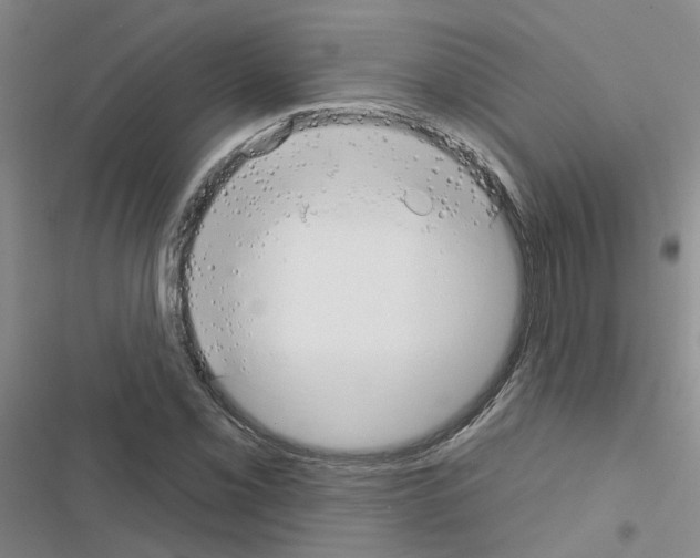 X0000116551069201001211157