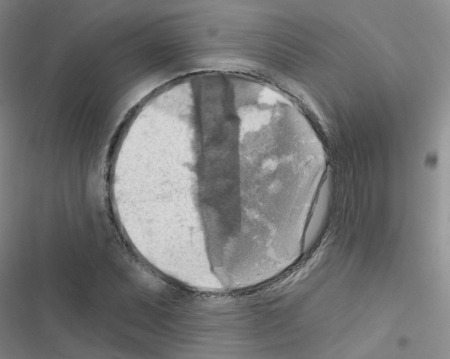 X0000116551071201001211157