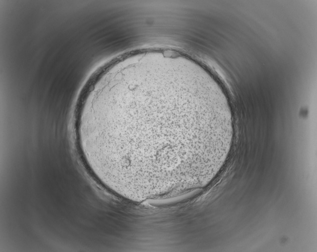 X0000116551072201001211157