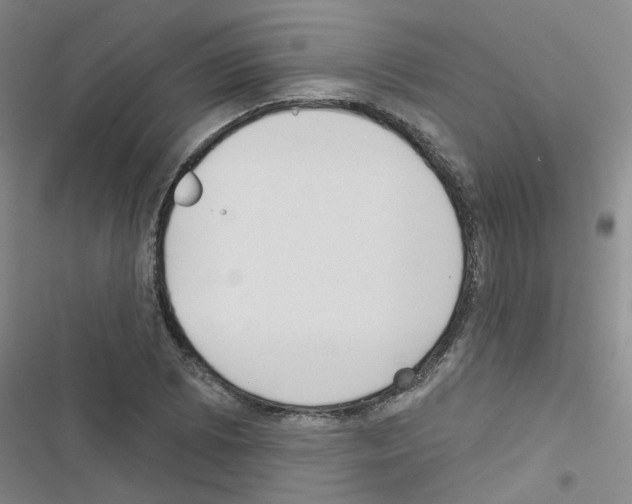 X0000116551073201001211157