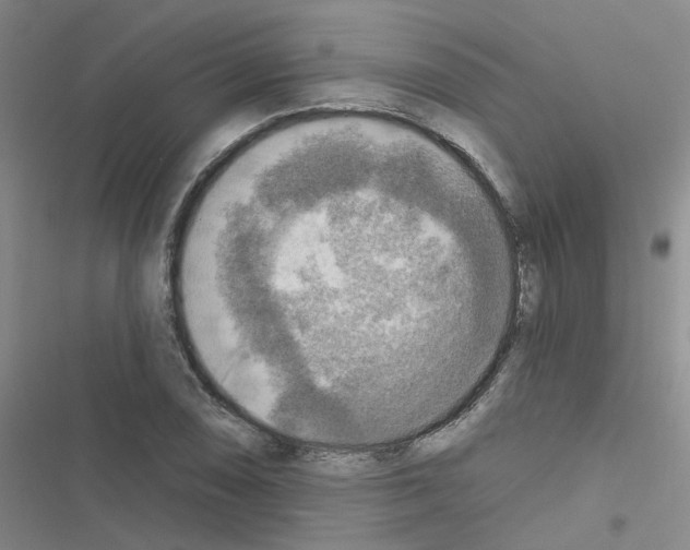 X0000116551074201001211157