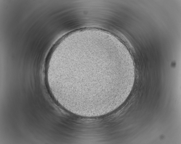 X0000116551076201001211157