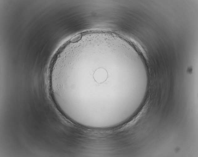 X0000116551077201001211157