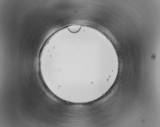 X0000116551079201001211157