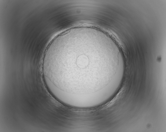 X0000116551081201001211157