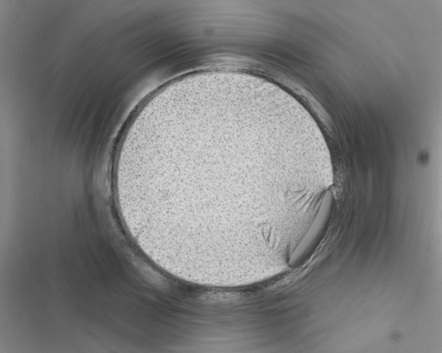 X0000116551083201001211157