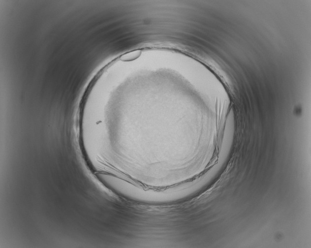 X0000116551084201001211157