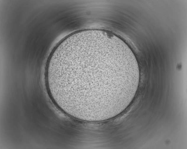 X0000116551086201001211157