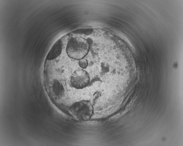 X0000116551087201001211157