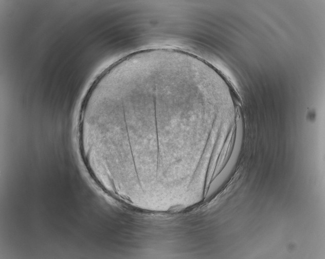 X0000116551088201001211157