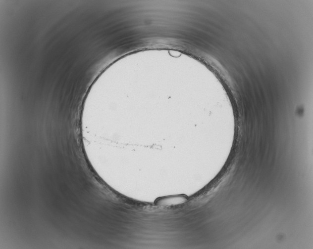 X0000116551089201001211157