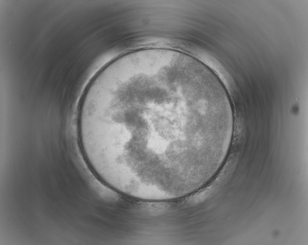 X0000116551090201001211157