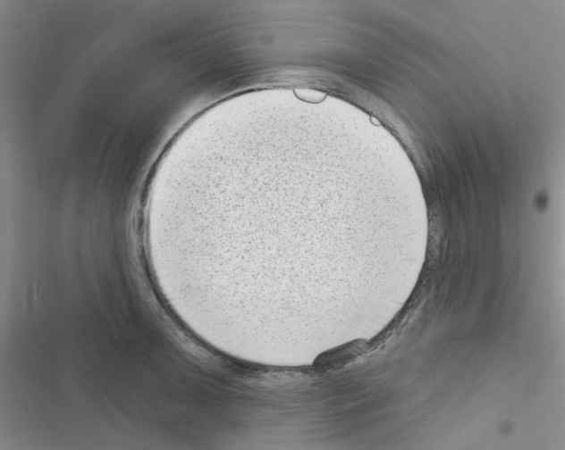 X0000116551091201001211156