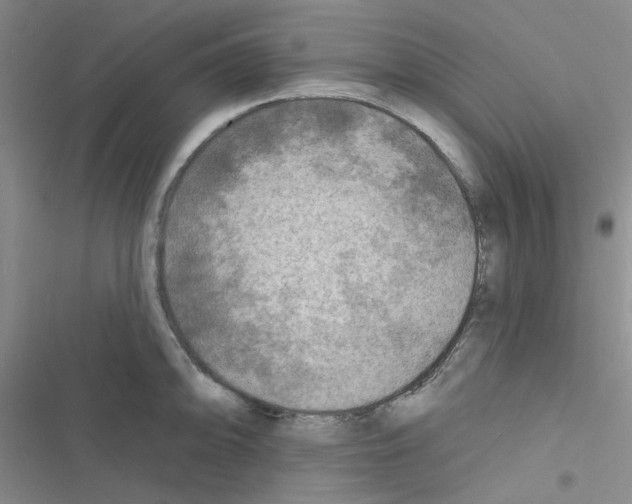 X0000116551094201001211156