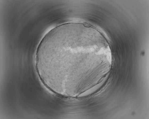 X0000116551095201001211156