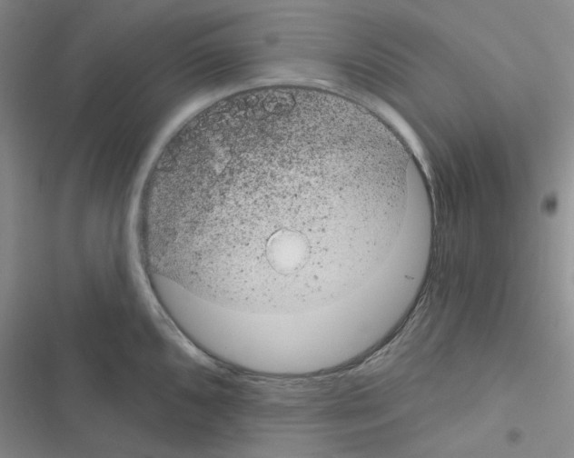 X0000116551096201001211156