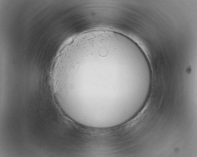 X0000116551097201001211156