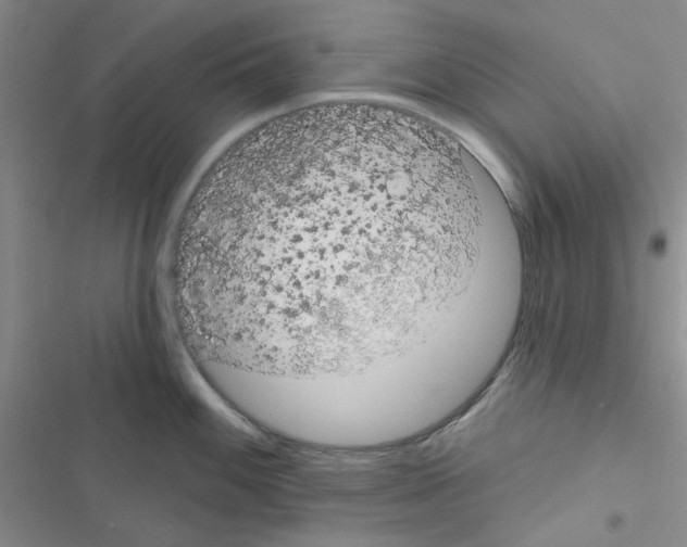 X0000116551100201001211156