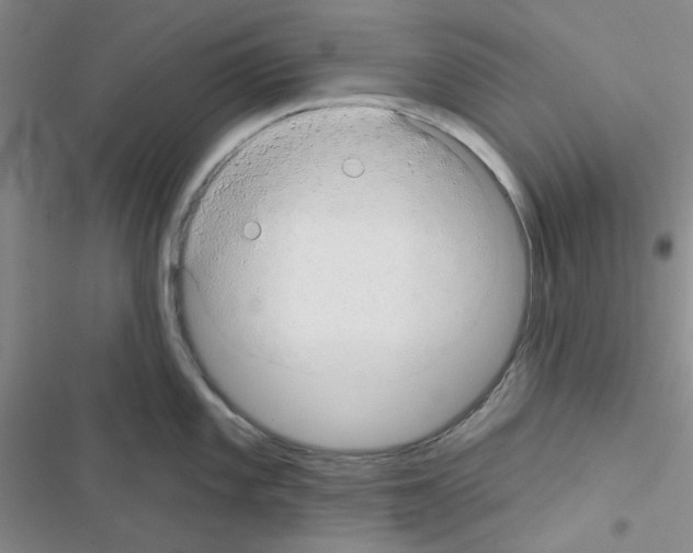 X0000116551101201001211156