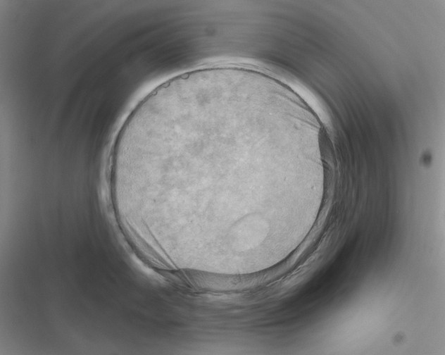 X0000116551102201001211156