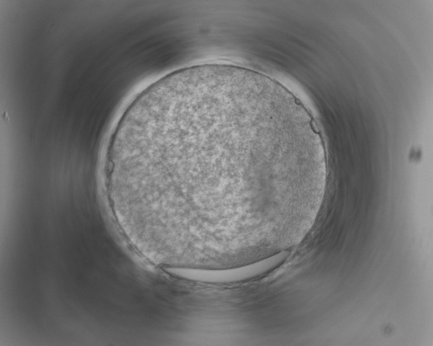 X0000116551104201001211156