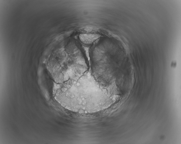 X0000116551105201001211156