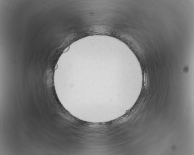 X0000116551107201001211156