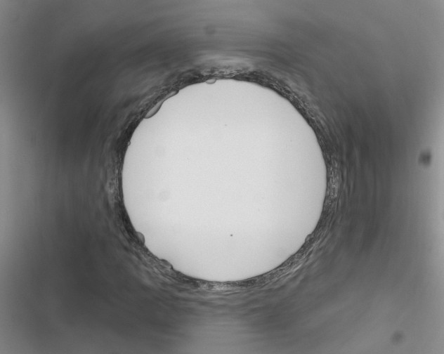 X0000116551109201001211156