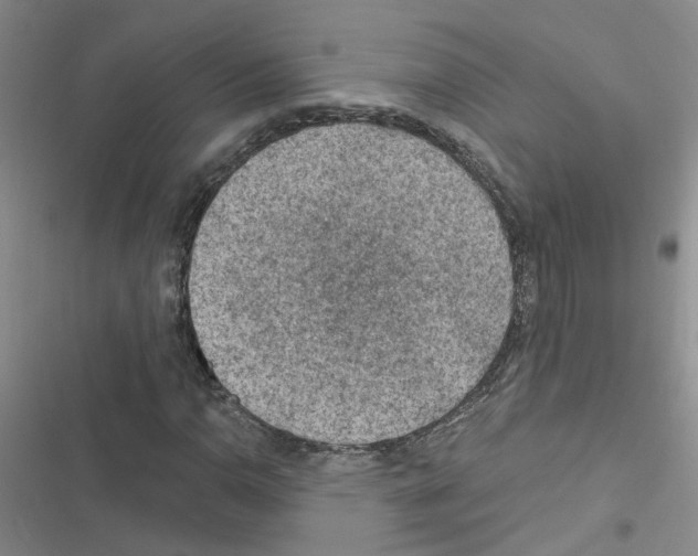 X0000116551110201001211156