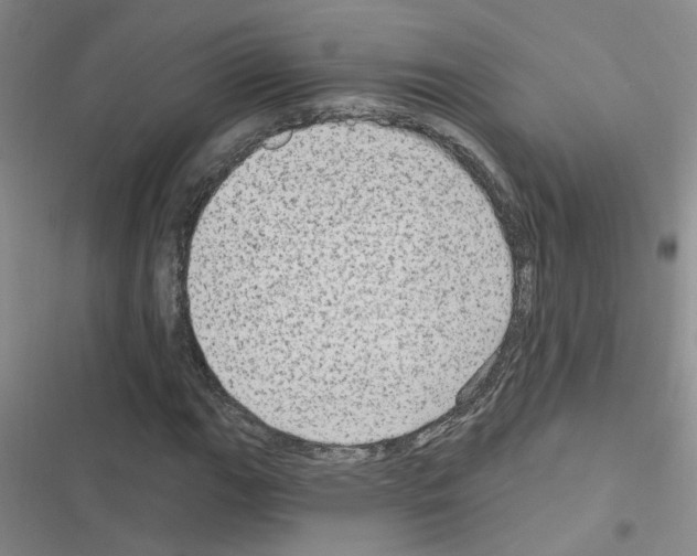 X0000116551111201001211156