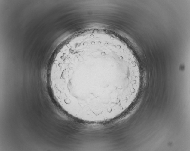 X0000116551113201001211156