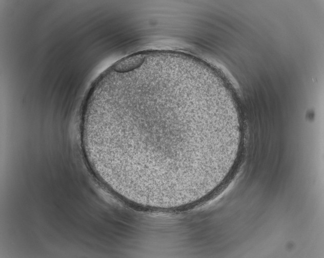 X0000116551114201001211156