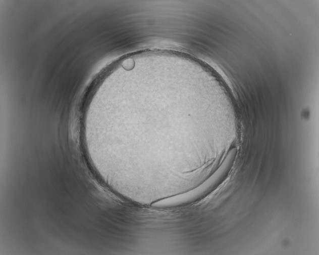 X0000116551115201001211156