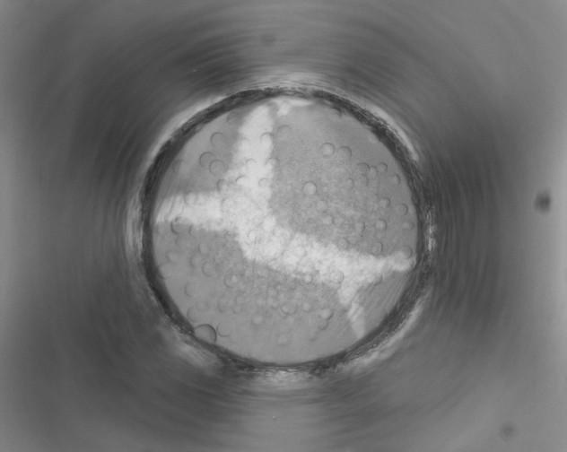 X0000116551117201001211156