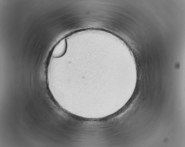 X0000116551118201001211156