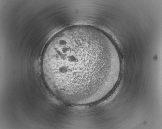 X0000116551121201001211156