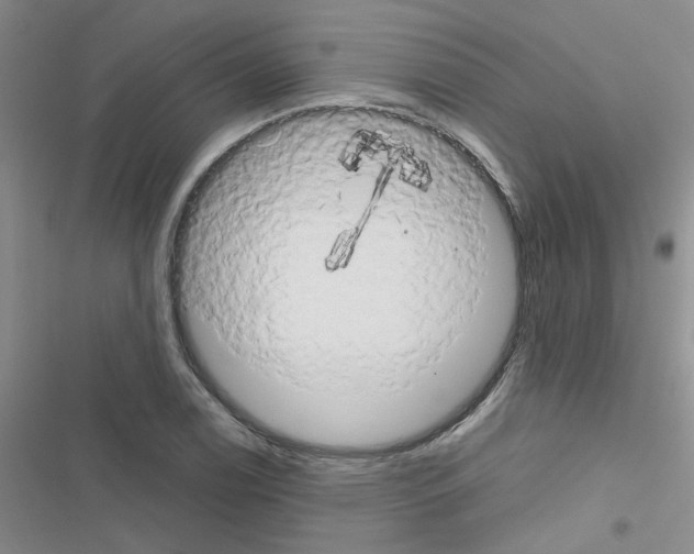 X0000116551122201001211156