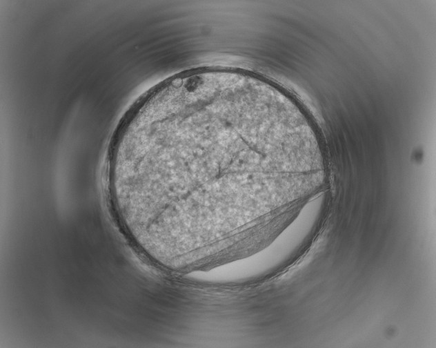 X0000116551125201001211156